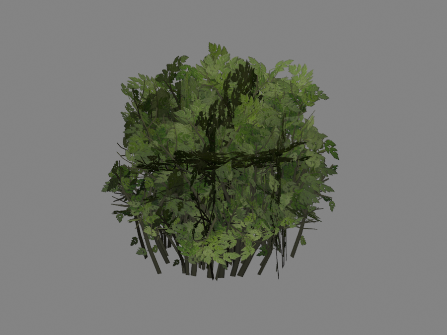 Bush-04