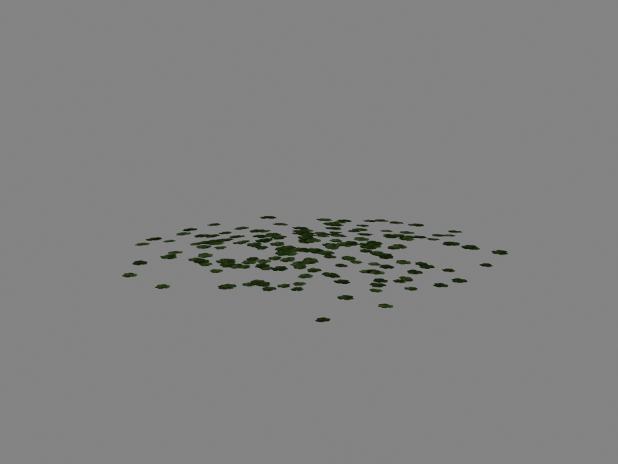 Clover-03