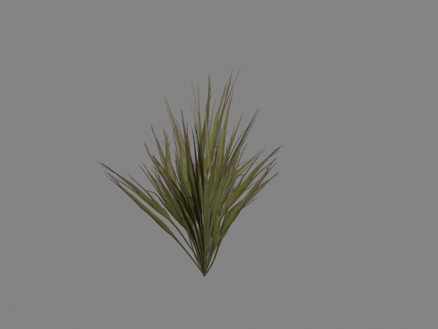 Grass-03