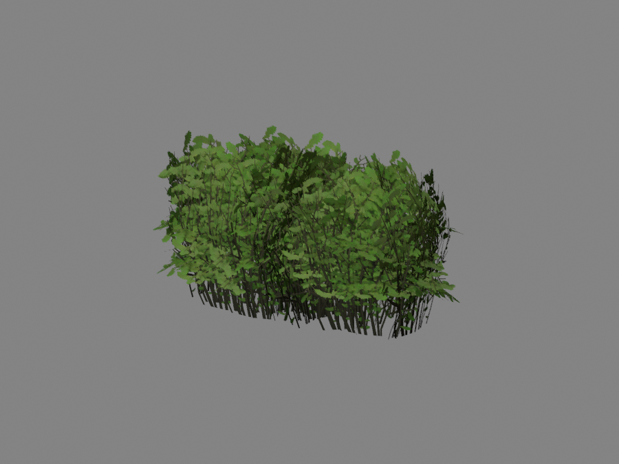Hedge-01