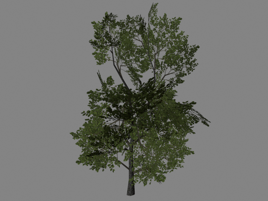 Tree-01-4