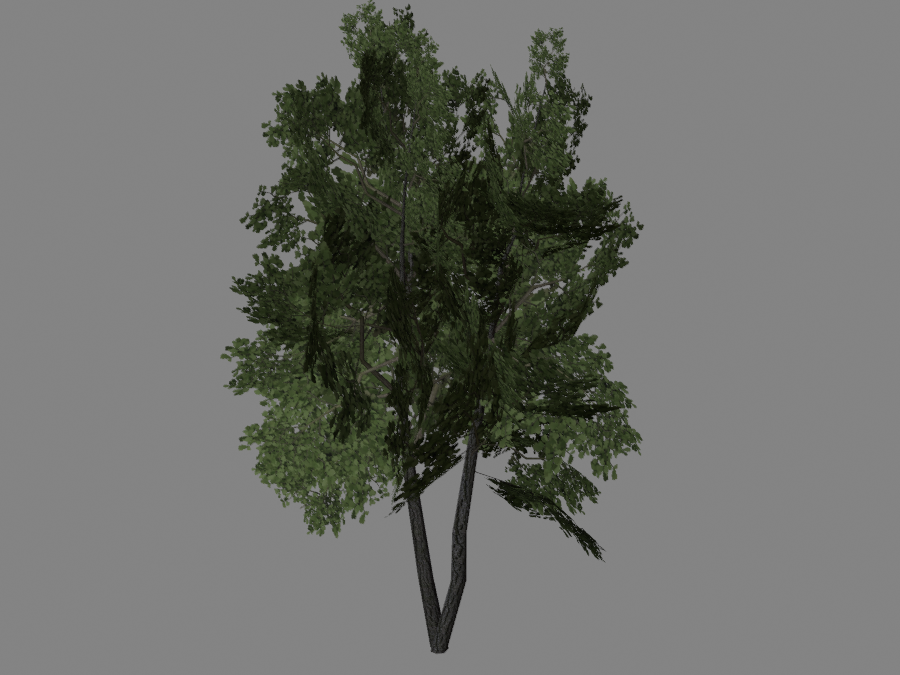 Tree-02-2