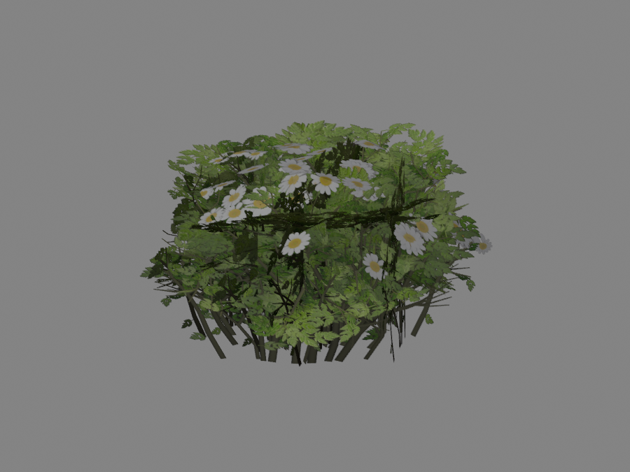 Flowers-04