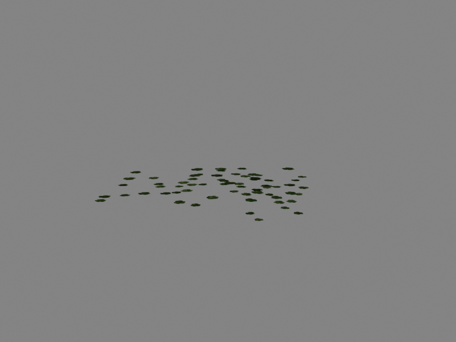 Clover-02