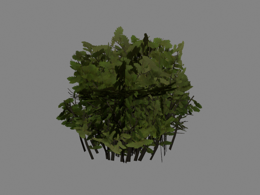 Bush-03