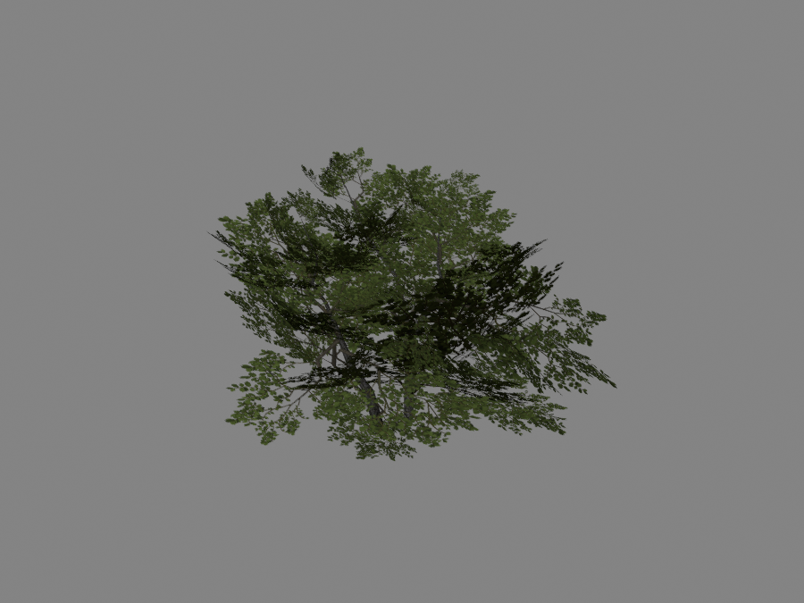 Bush-05