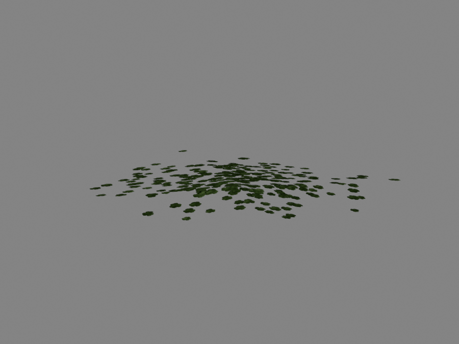 Clover-04