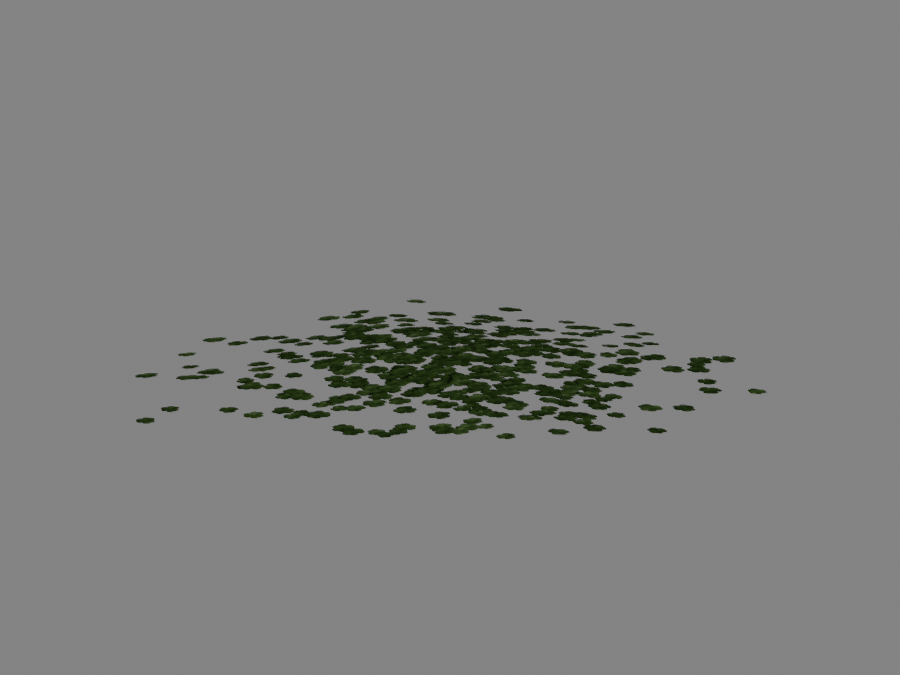 Clover-05