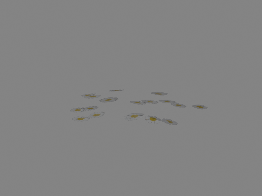 Flowers-01