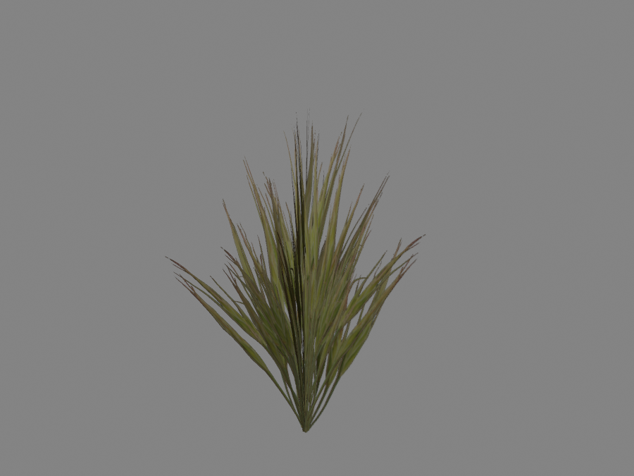 Grass-02