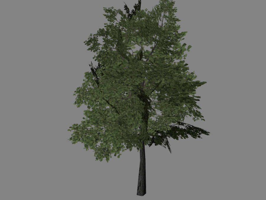 Tree-02-3