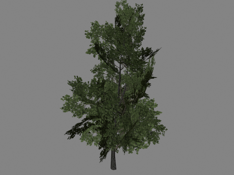 Tree-02-4