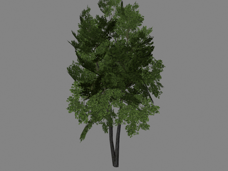 Tree-03-1