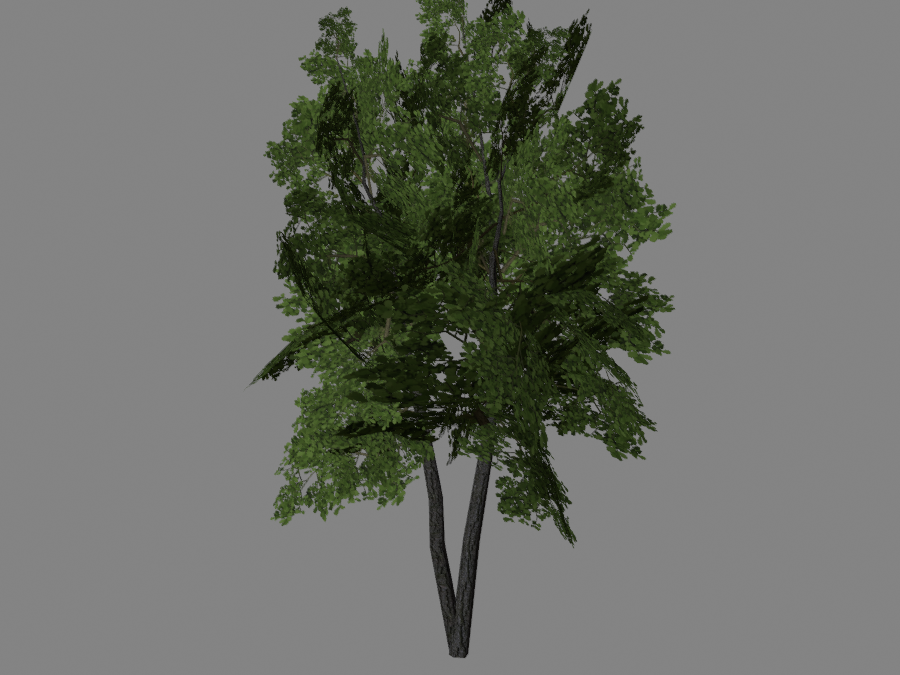 Tree-03-2