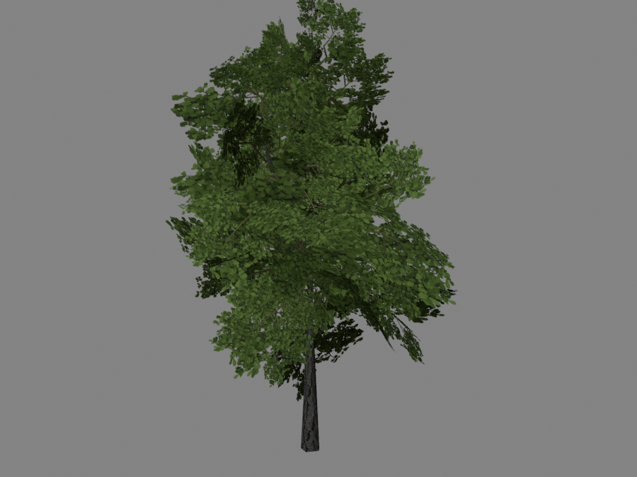 Tree-03-3