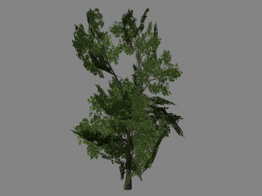 Tree-03-4