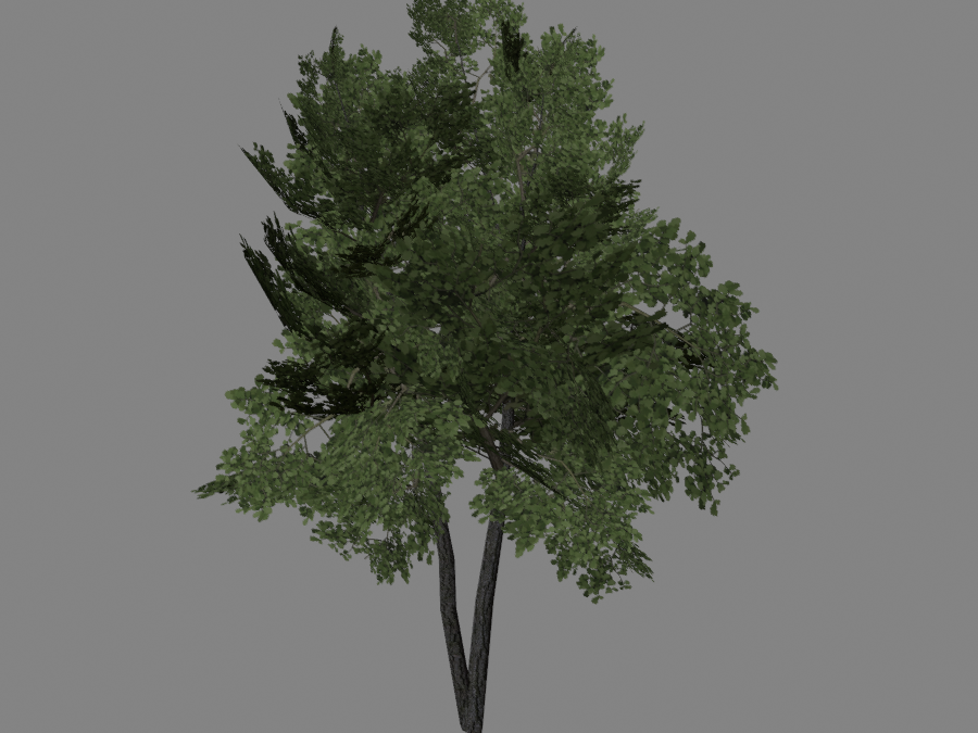 Tree-02-1