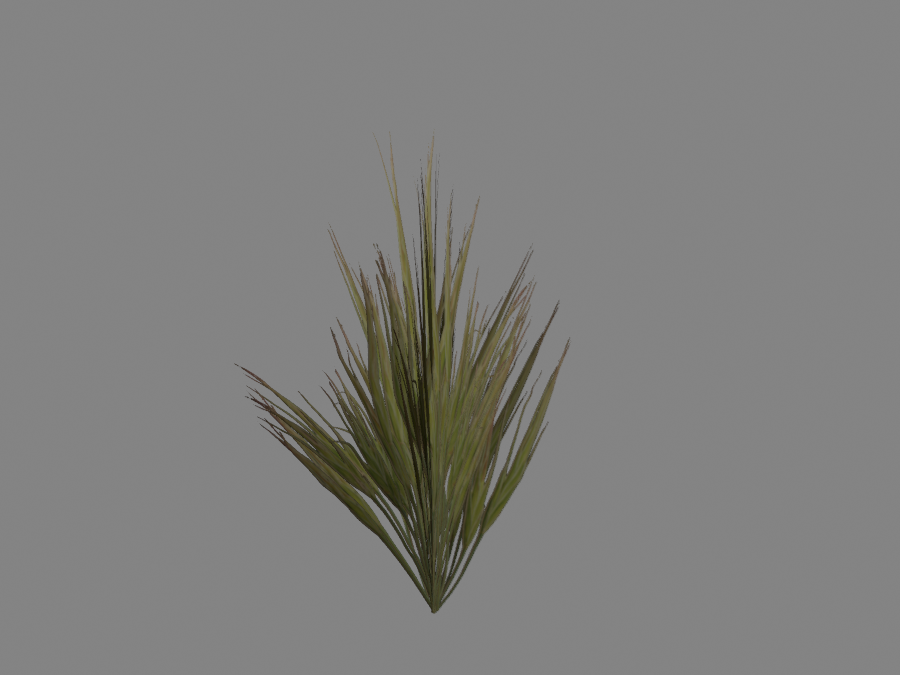 Grass-01